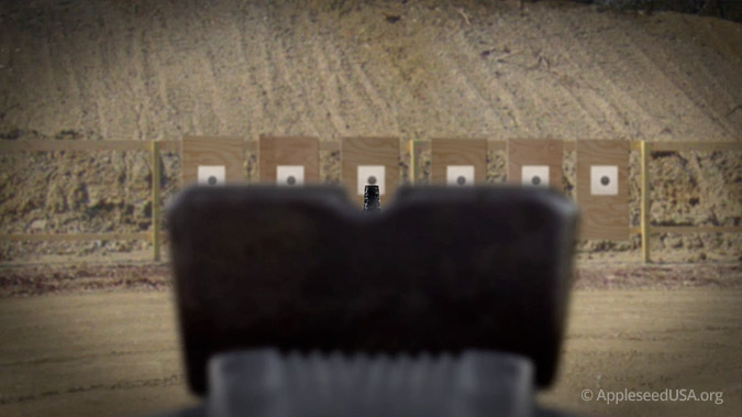 Notch Sight Focus
