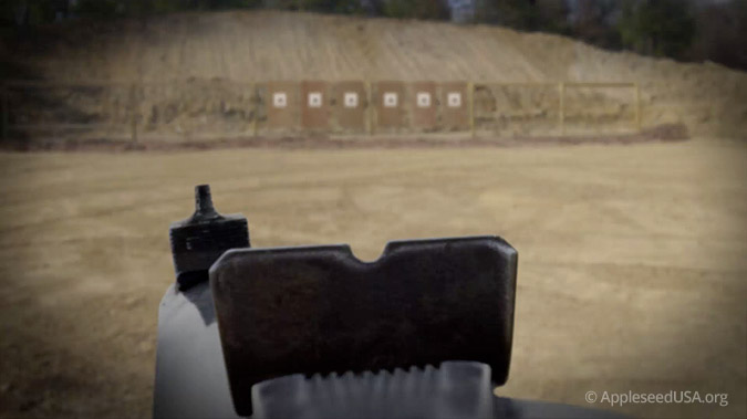 Notch Sights