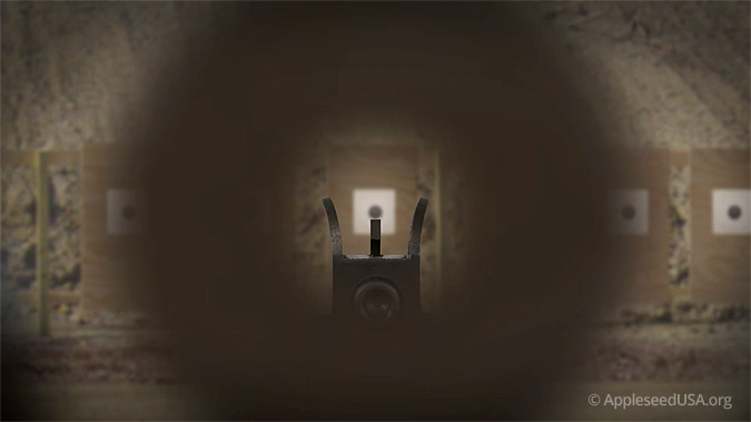 Peep Sight Focus