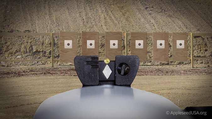Aligning Ruger Sights